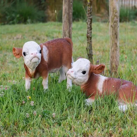 Penthouse In With Sea Views דירה *