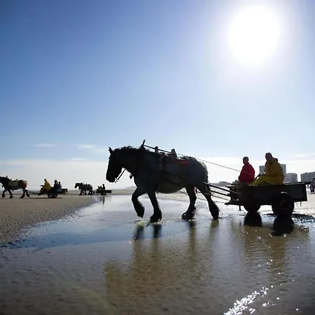 דירה Penthouse In With Sea Views ניופורט