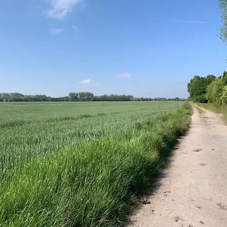 Penthouse In With Sea Views