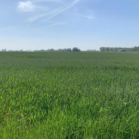 Penthouse In With Sea Views דירה ניופורט